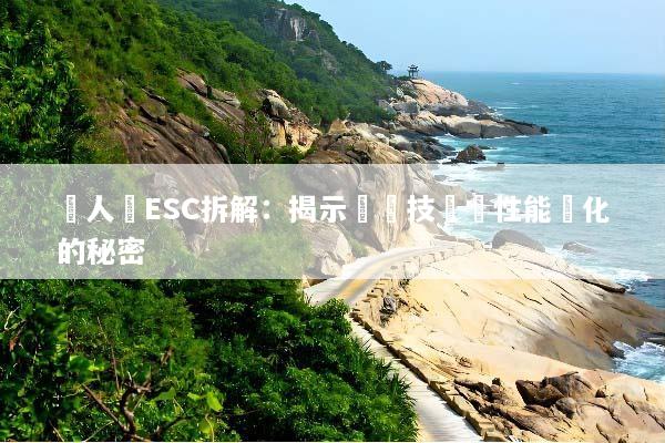 無人機ESC拆解：揭示驅動技術與性能優化的秘密
