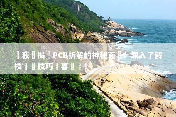 讓我們揭開PCB拆解的神秘面紗：深入了解技術與技巧驚喜發現！